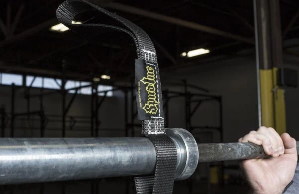 Spud Inc Swing Set Straps Spud Inc Swing Set Straps -Fitness Equip Promotion Store 0e3a37aa85a14e359df74fa77eded3f6 5d0a7523483f8 600x389 1