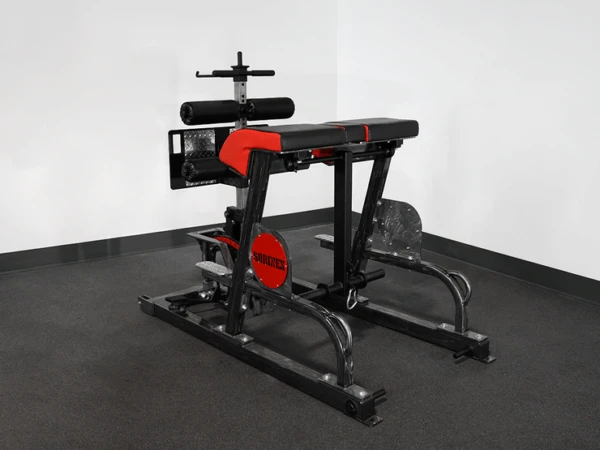 Sorinex Frankenhyper Machine Sorinex Frankenhyper Machine -Fitness Equip Promotion Store 26505e0494662534f633586941b77d0c 5d0a756aab423 600x450 1