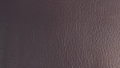 Rogue Adjustable Bench 2.0 9 Rogue Adjustable Bench 2.0 -Fitness Equip Promotion Store 37a749d808e46495a8da1e5352d03cae 5e0e63bb082d9 600x337 1