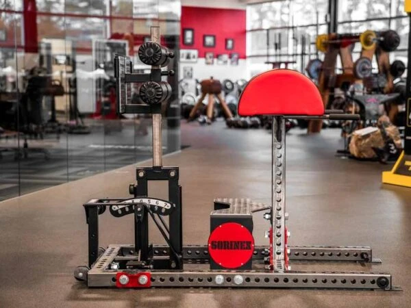 Sorinex Glute Ham Developer Sorinex Glute Ham Developer -Fitness Equip Promotion Store 66e8ba8216a1e152d72653d99a4f03ab 5d0a756ac73c2 600x450 1