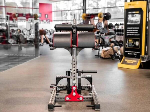 Sorinex Glute Ham Developer Sorinex Glute Ham Developer -Fitness Equip Promotion Store 66e8ba8216a1e152d72653d99a4f03ab 5d0a756aeec35 600x450 1