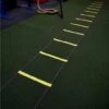 Get RXd Agility Ladder 2 Get RXd Agility Ladder -Fitness Equip Promotion Store 7a68443f5c80d181c42967cd71612af1 5d0a7575c1efa 600x525 1