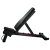 Powerblock Power Bench 1 Powerblock Power Bench -Fitness Equip Promotion Store a486cd07e4ac3d270571622f4f316ec5 5d0a75554888d 600x600 1