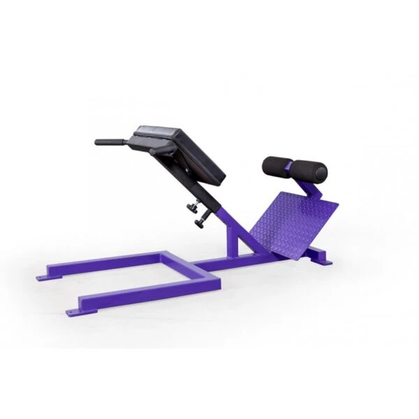 EliteFTS Scholastic 45 Degree Back Raise EliteFTS Scholastic 45 Degree Back Raise -Fitness Equip Promotion Store d6288499d0083cc34e60a077b7c4b3e1 5d0a7576cb935 600x600 1