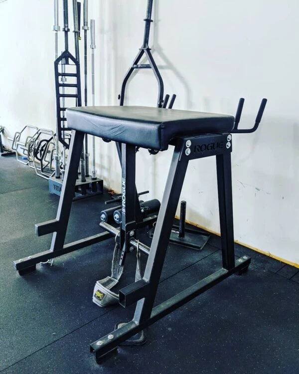 Rogue RH-2 Reverse Hyper Rogue RH-2 Reverse Hyper -Fitness Equip Promotion Store e165421110ba03099a1c0393373c5b43 5d111b5aae4ee 600x750 1