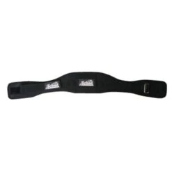 Schiek 2004 Lifting Belt -Fitness Equip Promotion Store fe8c15fed5f808006ce95eddb7366e35 5d0a74e70a42e 600x600 1