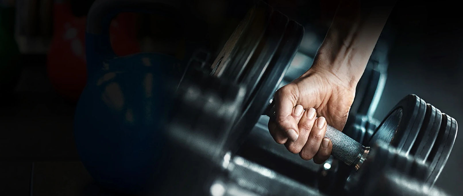 Fitness Equip Promotion Store 1 Fitness Equip Promotion Store -Fitness Equip Promotion Store gjjj